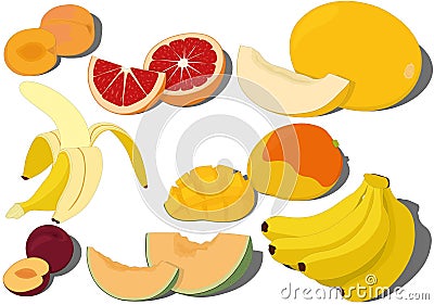 Sweet ripe aromatic fruits collection vector illustration Cartoon Illustration