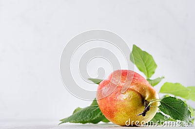 Sweet ripe fresh orange pear with water drops, green leaves, spotted lay on white wood table, closeup, blur. Stock Photo