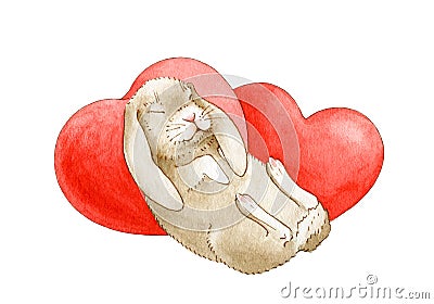 Sweet romantic Valentine bunny sleeping with two big red hearts watercolor illustration. Hand drawn little rabbit with symbol of l Cartoon Illustration