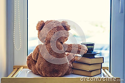 Sweet Teddy bear with cup of coffee. At a morning sun light. Good morning concept Stock Photo