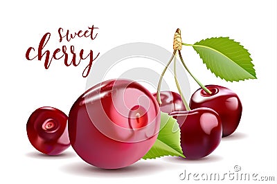 Sweet Vector 3D Realistic Cherry, isolated on white background. Vector Illustration