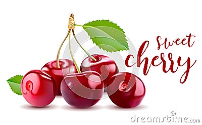 Sweet Vector 3D Realistic Cherry, isolated on white background. Vector Illustration