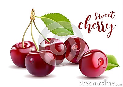 Sweet Vector 3D Realistic Cherry, on white background. Vector Illustration