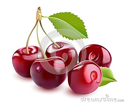 Sweet Vector 3D Realistic Cherry, on white background. Vector Illustration