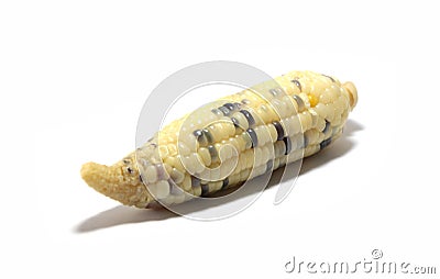 Sweet Waxy Corn Stock Photo