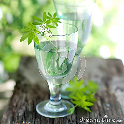 Sweet woodruff Stock Photo