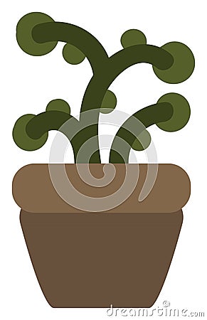 Sweet woodruff, icon Vector Illustration