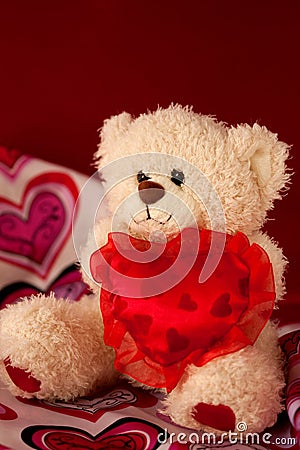 Sweetheart Bear Stock Photo
