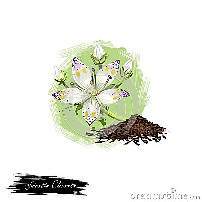 Swertia Chirata or Chirayata ayurvedic herb digital art illustration with text isolated on white. Healthy organic spa plant widely Cartoon Illustration