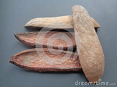 Swietenia Mahagoni rind with black background Stock Photo