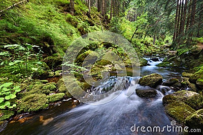 Swift mountain creek in a green valley Stock Photo