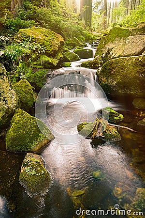 Swift mountain stream in a green valley Stock Photo