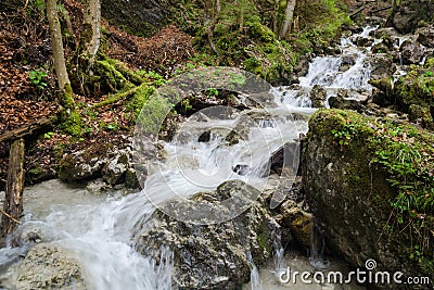 Swift water stream with waterfalls in Mala Fatra NP, Slovakia Stock Photo