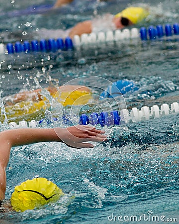 Swimmer Stock Photo