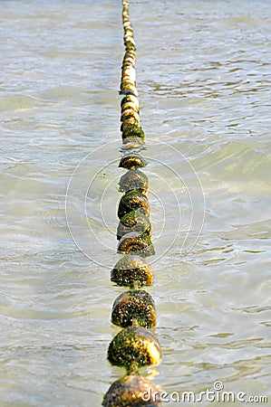 Swimming lane marker buoys Stock Photo