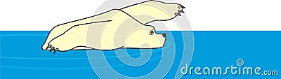 Swimming polar white bear Vector Illustration