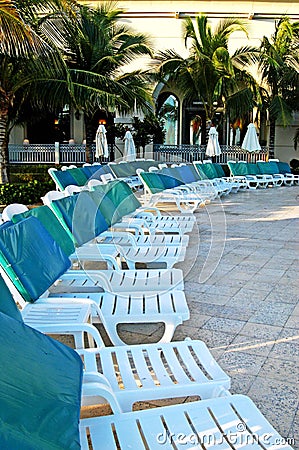 Swimming pool chairs and green palms Stock Photo