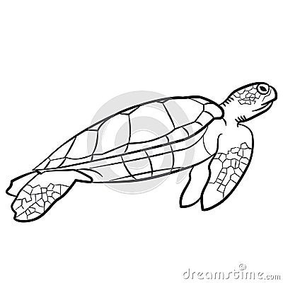 swimming turtle Vector Illustration