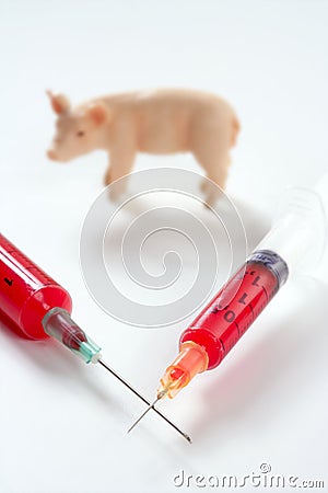 Swine flu A H1N1 vaccine metaphor Stock Photo
