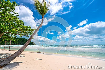 Swing attached to a palm tree in the idyllic Sao beach in Phu Quoc island Stock Photo