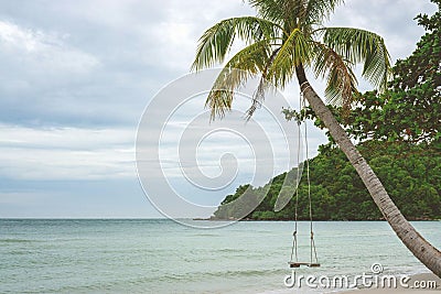 Hanging on a Palm Tree reaching out to the Sea at Sao Beac Stock Photo