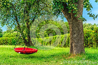 swing hanging on a tree in the park Stock Photo