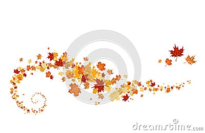 Swirl of maple leaves Vector Illustration