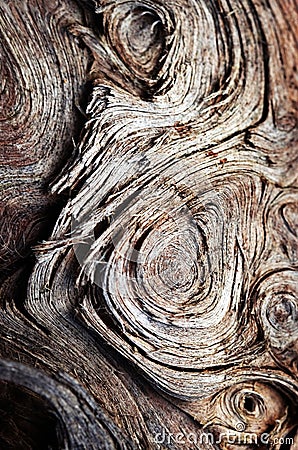 Swirl pattern on old wood Stock Photo