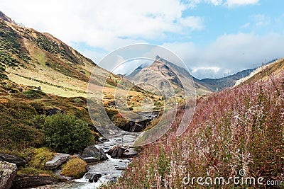 Swiss Alpine Landscape, stream Stock Photo