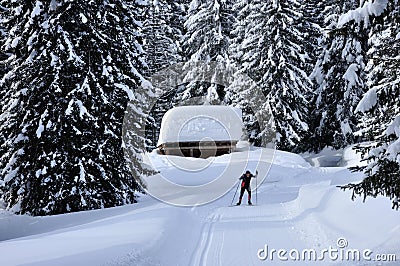 Swiss alps cross-country skiing Editorial Stock Photo