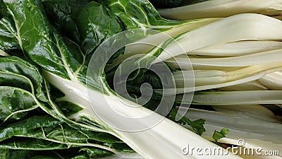 Swiss chard Stock Photo