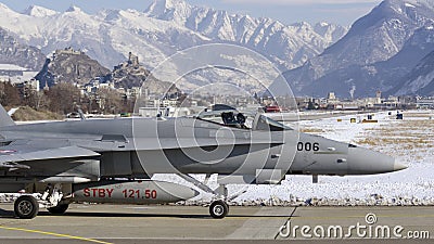 Swiss Hornet at Sion Editorial Stock Photo