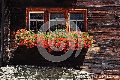 Swiss traditional wooden house window with red geranium flowers Stock Photo