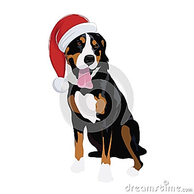 Swiss Mountain dog with Christmas hat isolated on white background. Vector Illustration