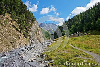 Swiss National Park Stock Photo
