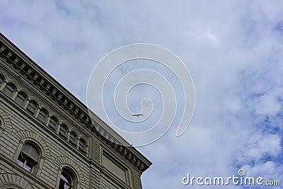 Swiss Parliament Building called Bundeshaus in Berne with bird Editorial Stock Photo