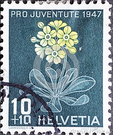 Switzerland - Circa 1947 : a postage stamp printed in the swiss showing an alpine auricle plant Primula auricula Primulaceae Editorial Stock Photo