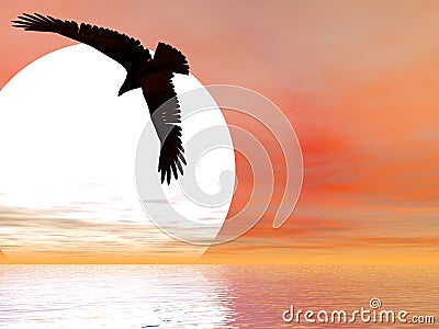 Swooping Eagle Stock Photo