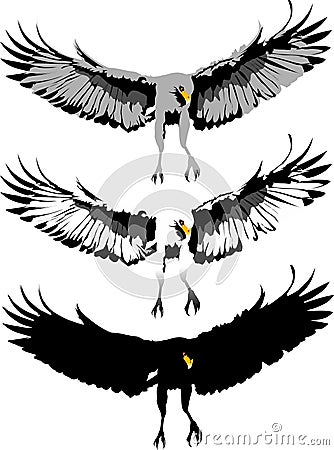 Swooping eagle Cartoon Illustration