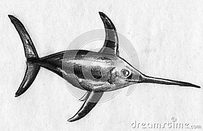 Swordfish sketch Stock Photo