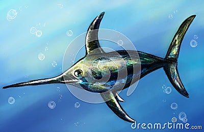 Swordfish underwater sketch Stock Photo