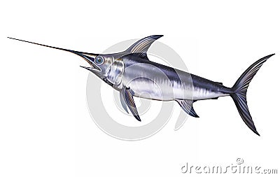 Swordfish, Xiphias gladius Cartoon Illustration