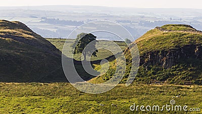 Sycamore Gap on the Roman Wall. Northumberland, England. Stock Photo