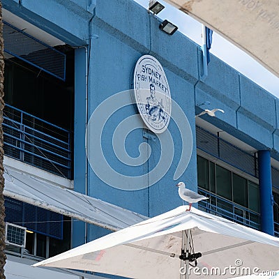 Sidney fish market logo on the blue wall Editorial Stock Photo