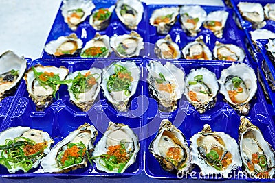 Sydney. New South Wales. Australia. The Fish Market. Jumbo Pacific Oysters Stock Photo