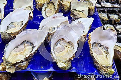 Sydney. New South Wales. Australia. The Fish Market. Jumbo Pacific Oysters Stock Photo