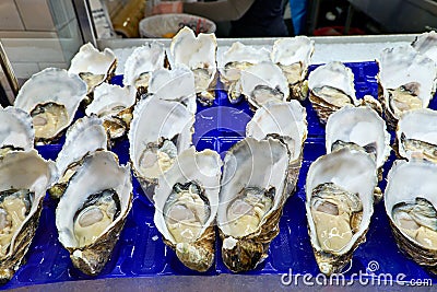 Sydney. New South Wales. Australia. The Fish Market. Jumbo Pacific Oysters Stock Photo