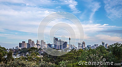 Sydney Skyline with trees in the foreground. Editorial Stock Photo