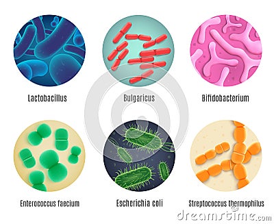 Symbiotic Human Bacteria Realistic Vector Set Vector Illustration