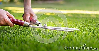 A worker is using a hedge trimmer to cut the grass Stock Photo